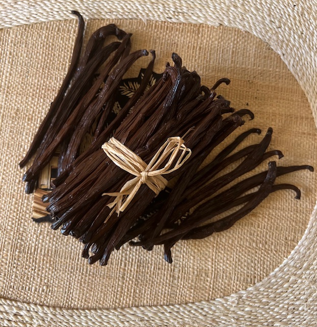 Vanille TK (Noir) — 10–13 cm - view 3