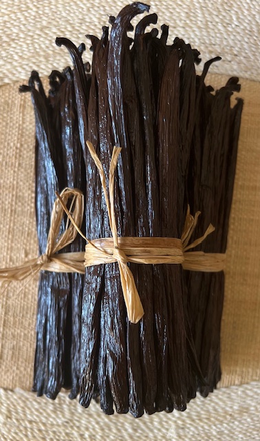 Vanille TK (Noir) — 16 cm - view 2