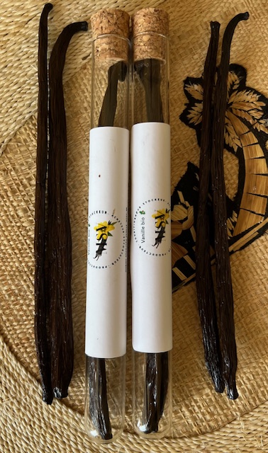 Vanille TK (Noir) — 17–18 cm - view 3