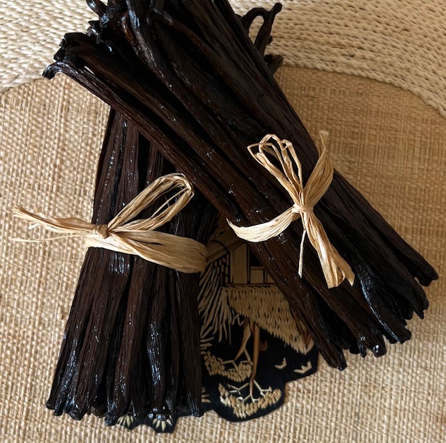 Vanille TK (Noir) — 14–15 cm - view 3